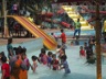 picnicPreprimary