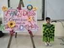 Fancy Dress Competition